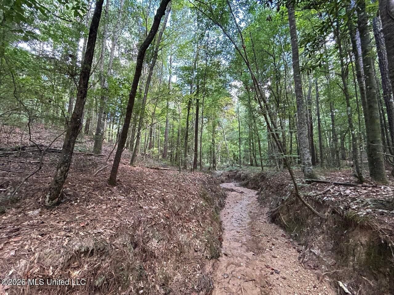FRANKLIN COUNTY LAND FOR SALE NEAR McCALL CREEK