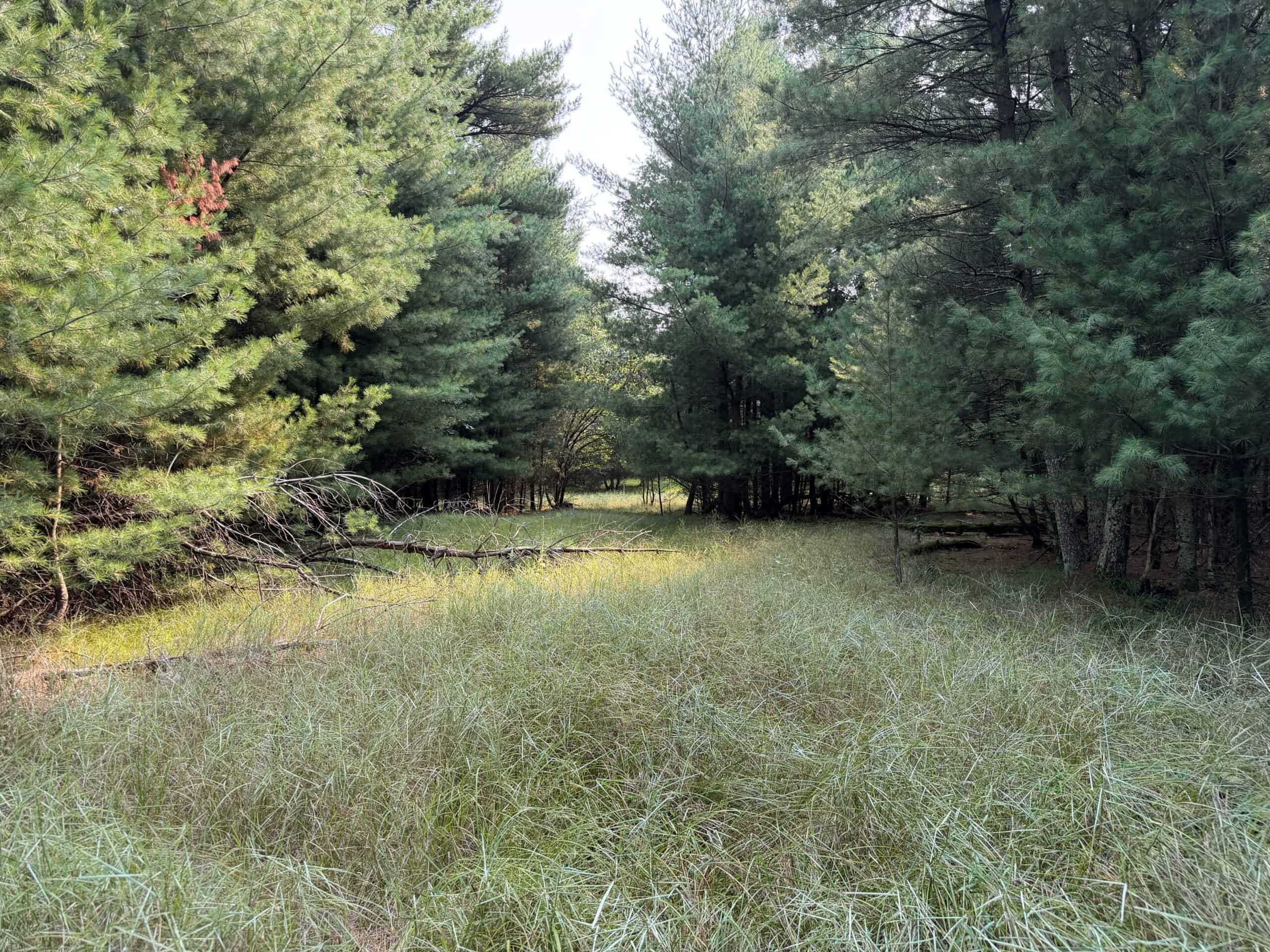 Rare opportunity to own 17.54 wooded acres within the City of Adams
