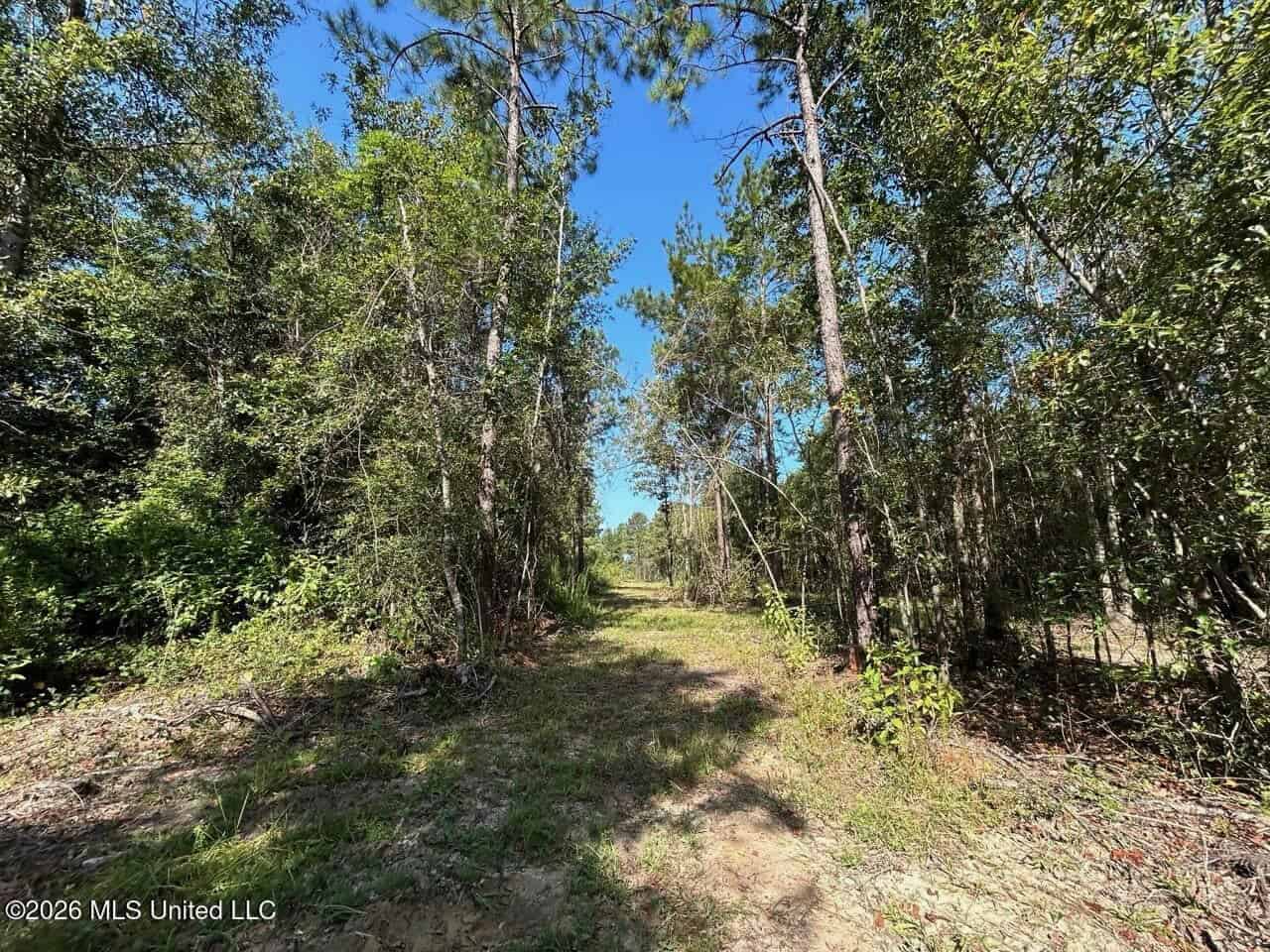 50± Acre Homesite & Hunting Land in Plainview, LA