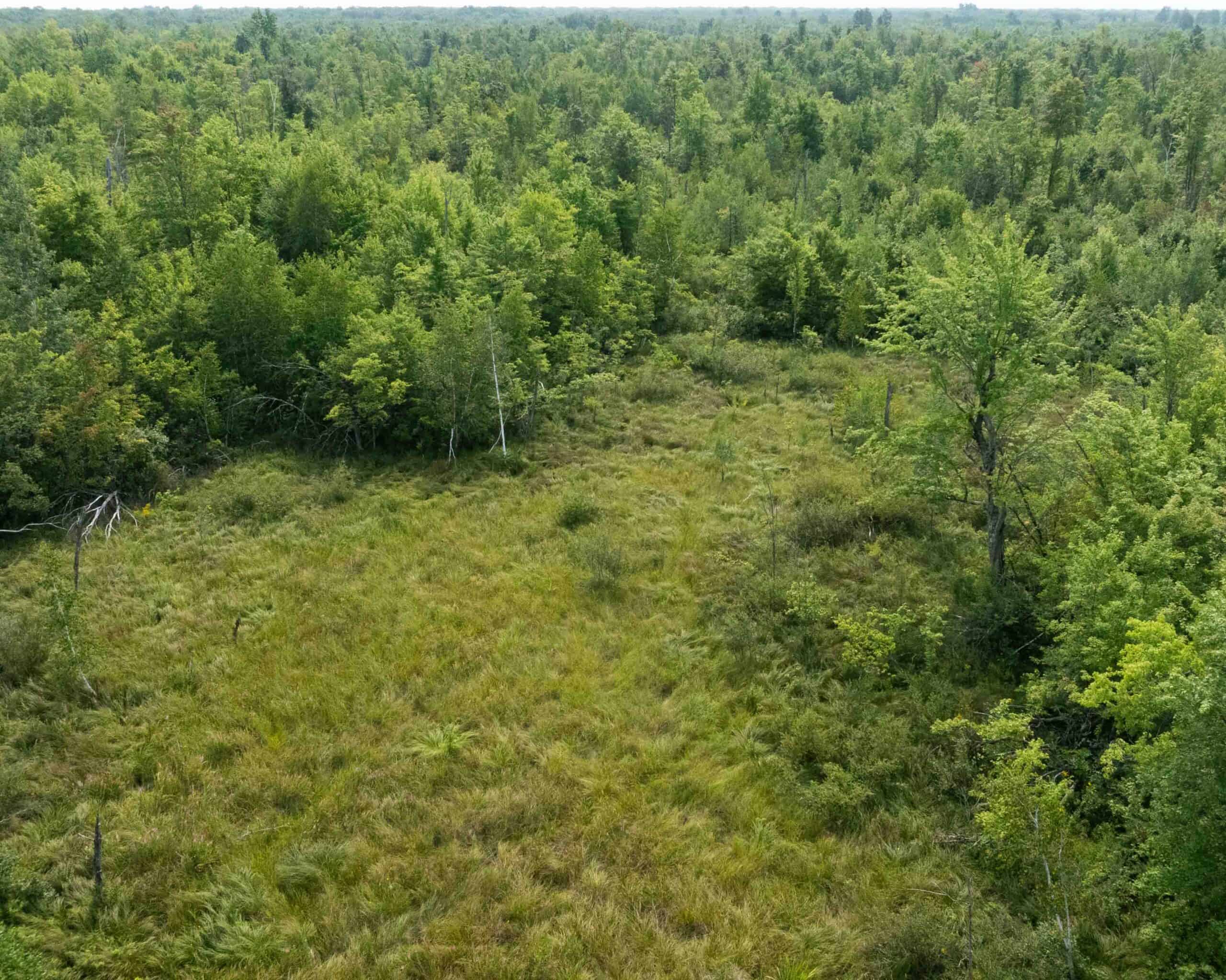 Juneau County WI 80 Acre Camp For Sale