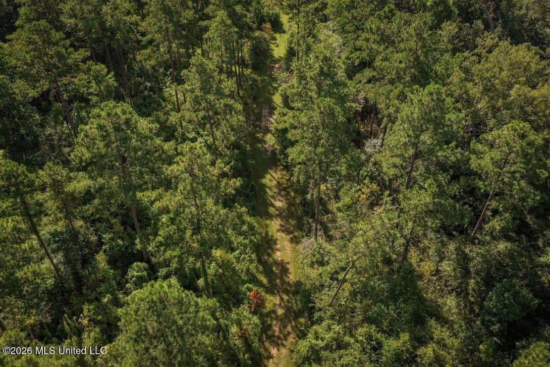 150 Acres for Sale in Magnolia MS on Tangipahoa River
