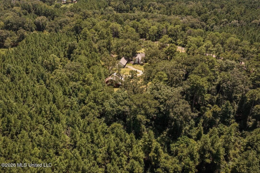 20 Acres for Sale Magnolia MS with Barn & Mature Timber