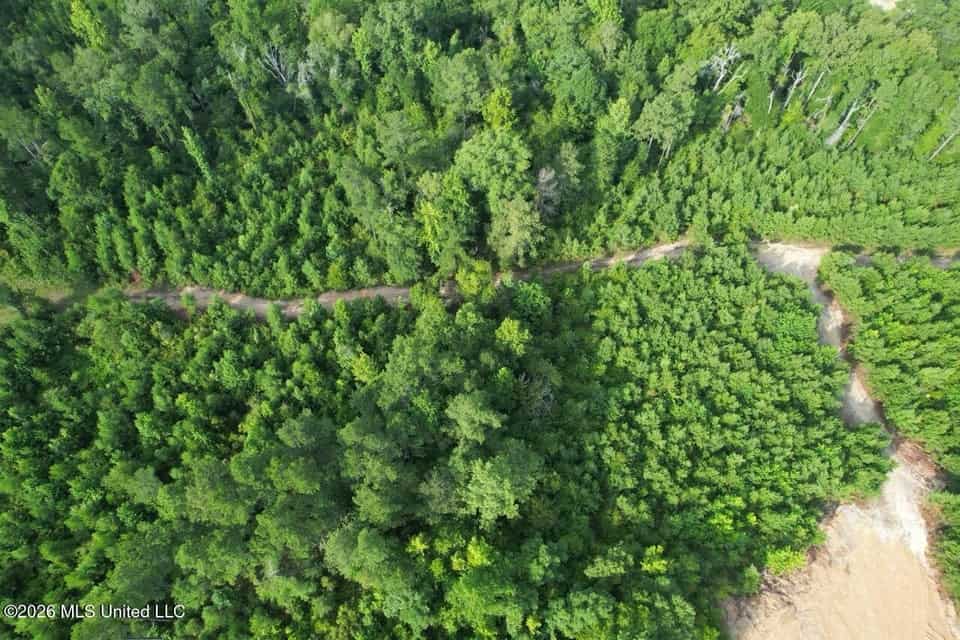 90± Acre Hunting Tract for Sale in Meadville, MS