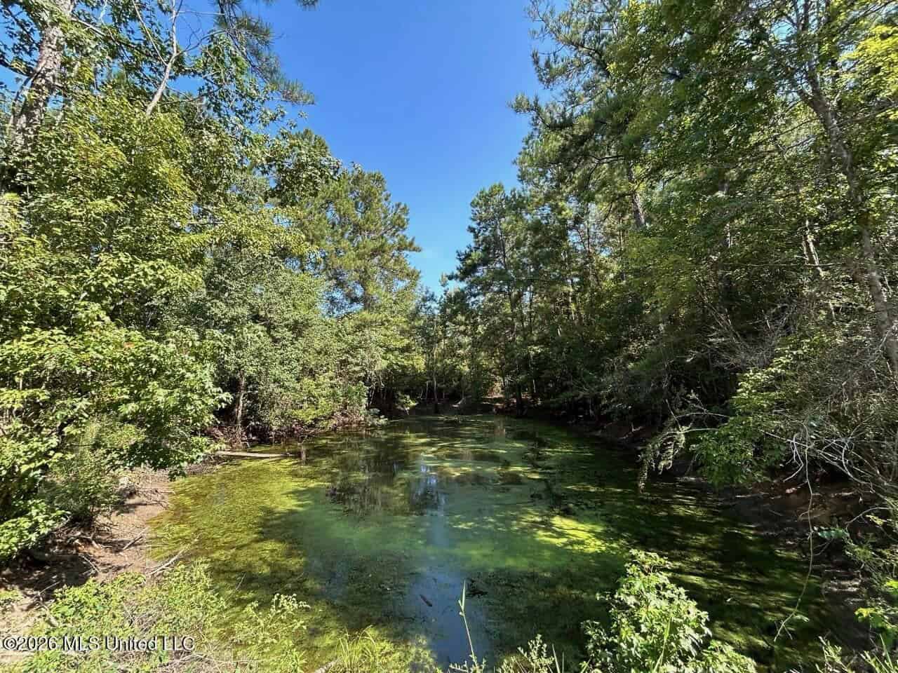 42± Acre Homesite & Hunting Land in Plainview, LA