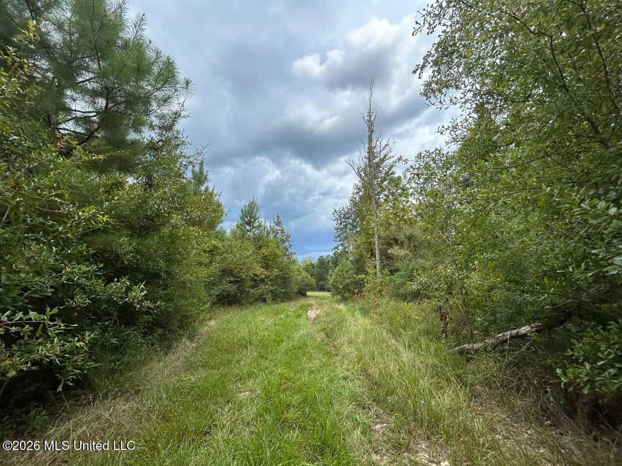 85± Acre Turnkey Hunting Property in Amite County, MS