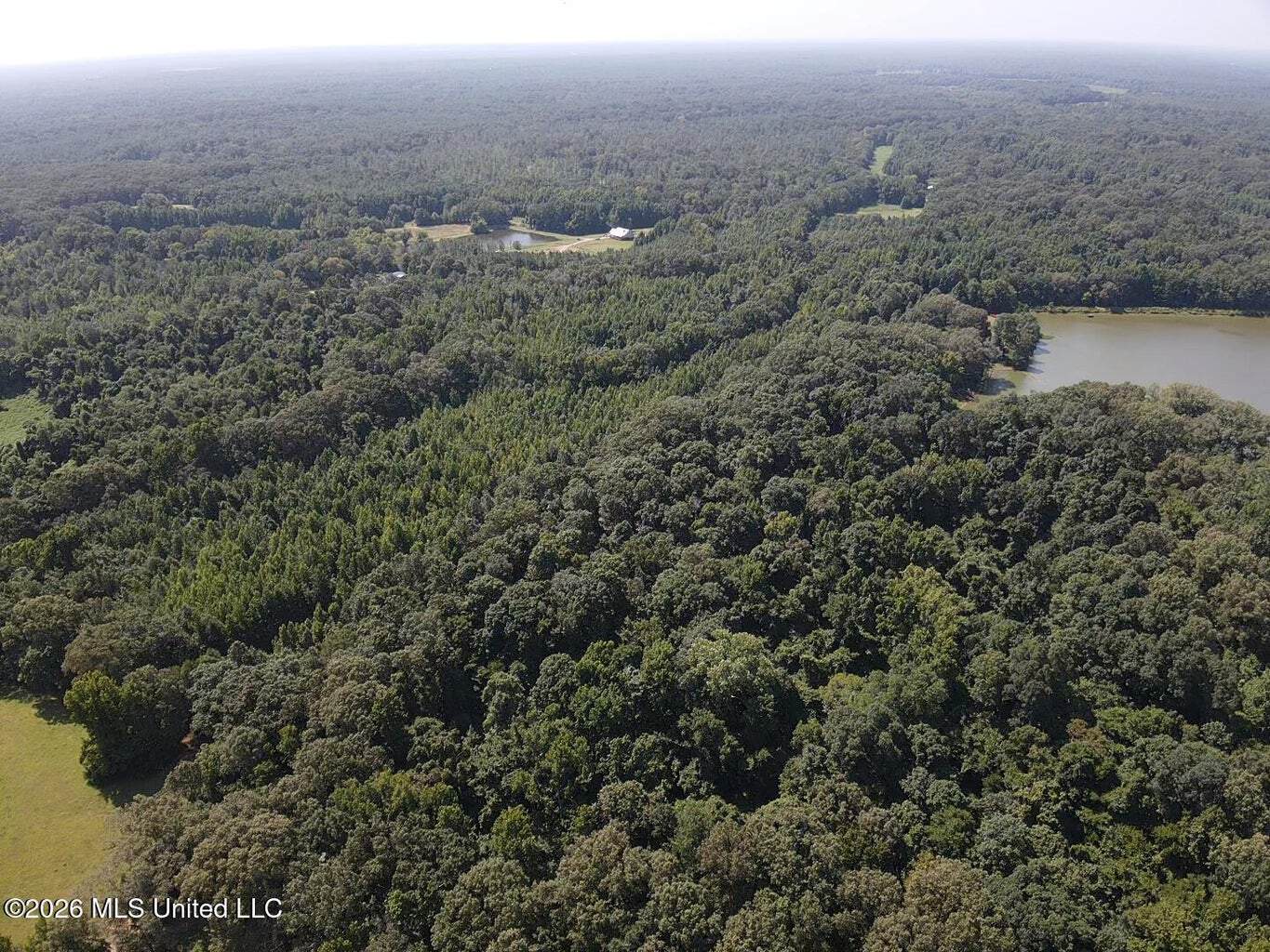 81-Acre Timber Property on 20-Acre Lake in Vaughan, MS