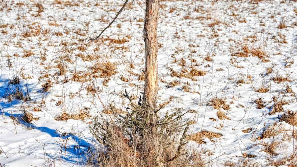68± Acres of Timber, Water & Recreation | Monroe County, Wisconsin