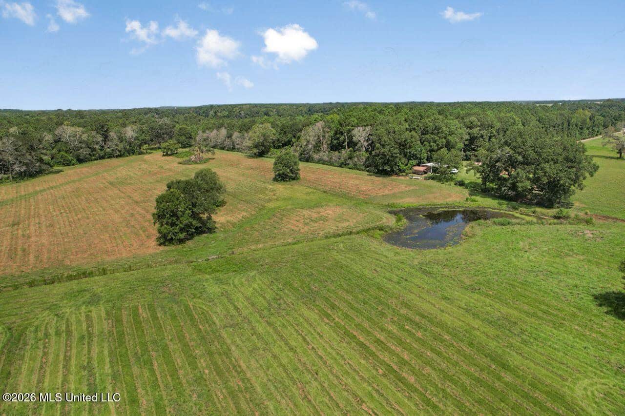 85± Acre Luxury Estate in Poplarville, MS