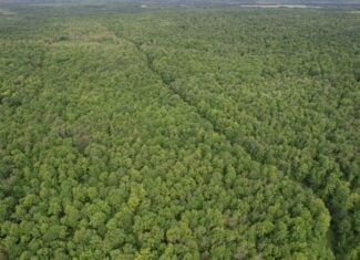 120 ± Acres Bordering Chequamegon National Forest, WI