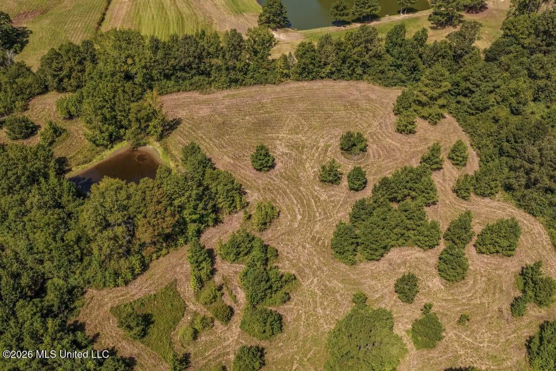 52.25± Acres in Copiah County, MS Near Hazlehurst