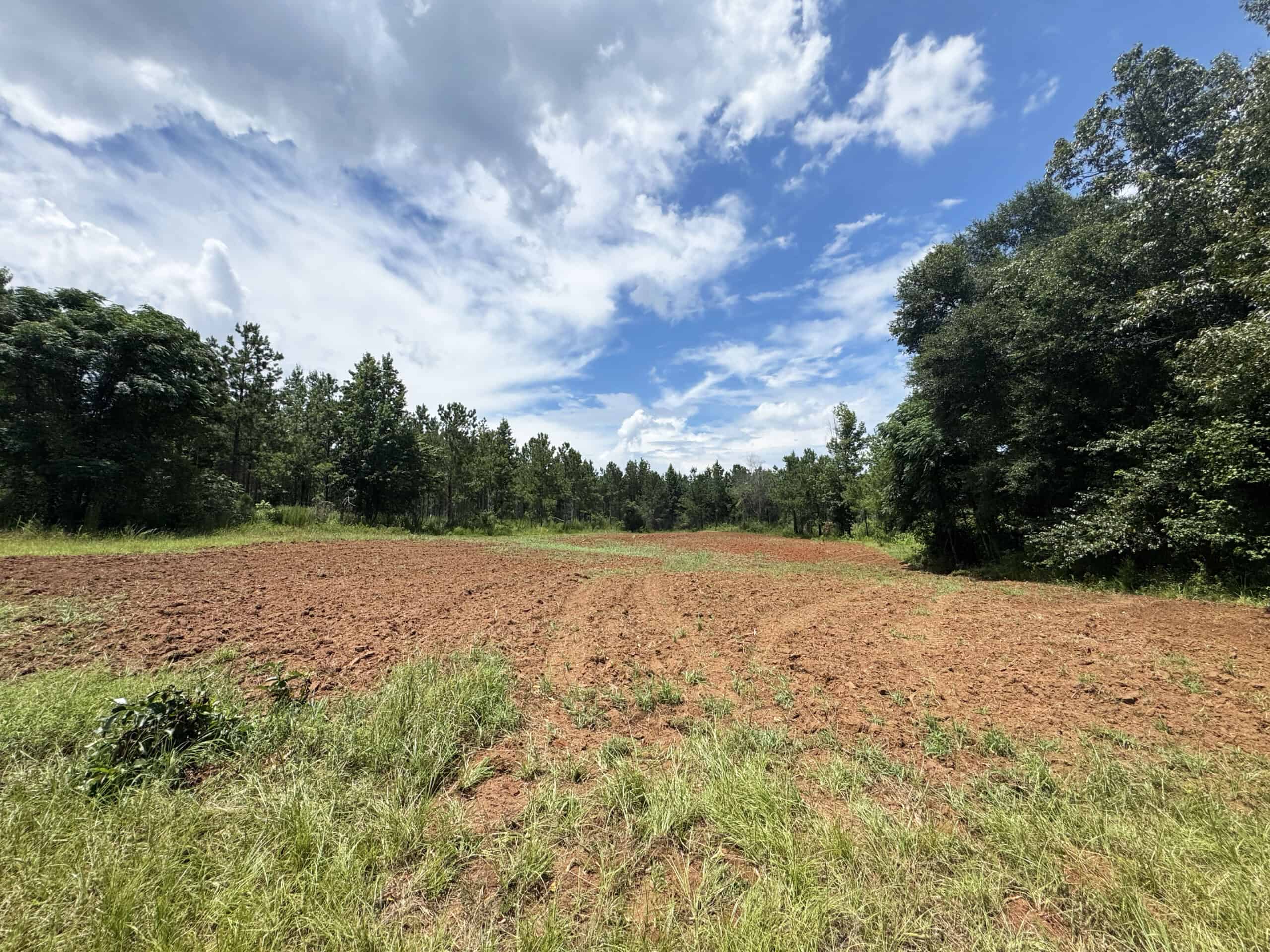 Discover an outstanding 130-acre recreational and hunting property in Stewart Cty