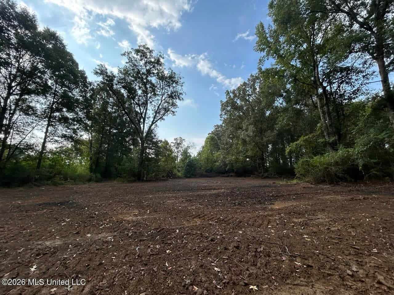 82± Acre Hunting Property in Wilkinson County, MS
