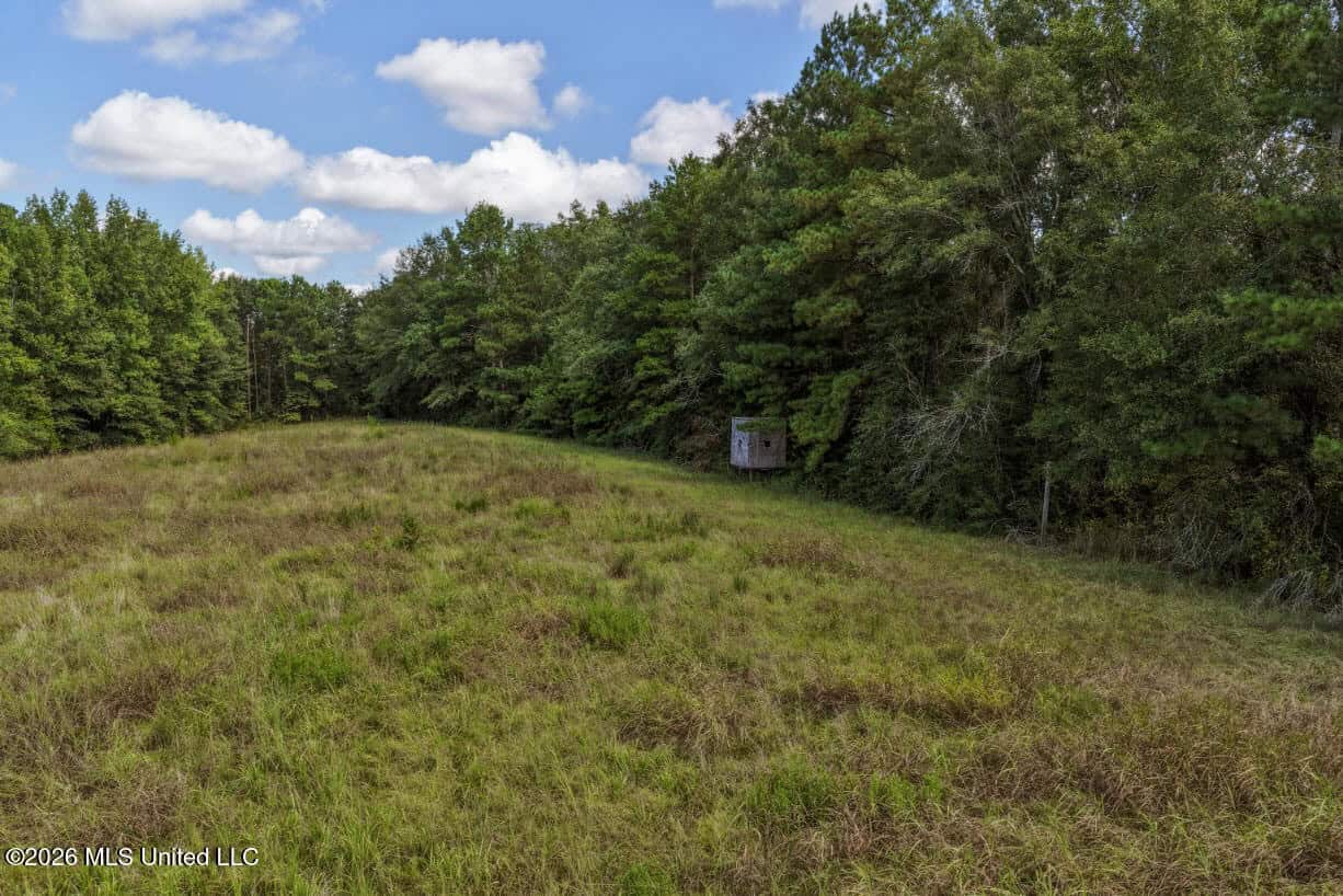 HWY 49 Land for Sale Simpson County, MS