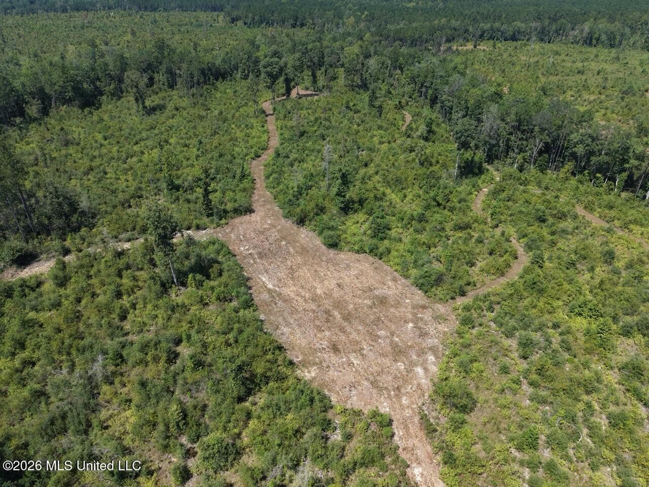 147± Acre Hunting Property in Plainview, LA