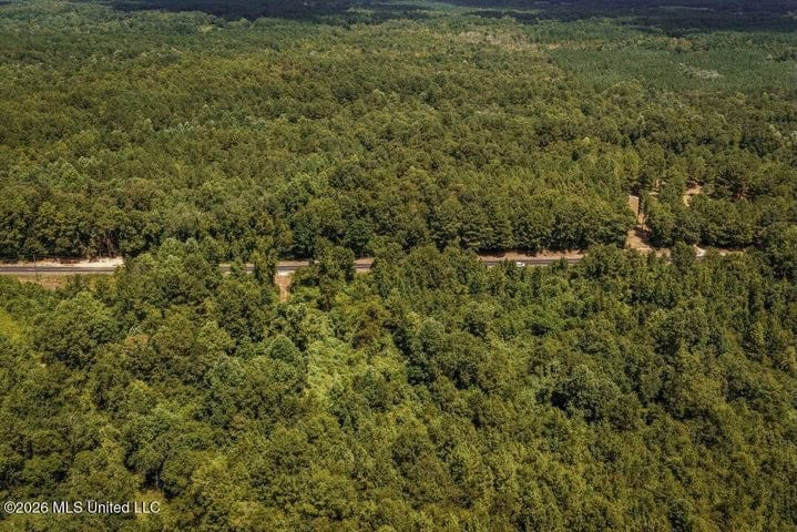 31 Acres for Sale Near Collins MS | Mature Timber & Hunting
