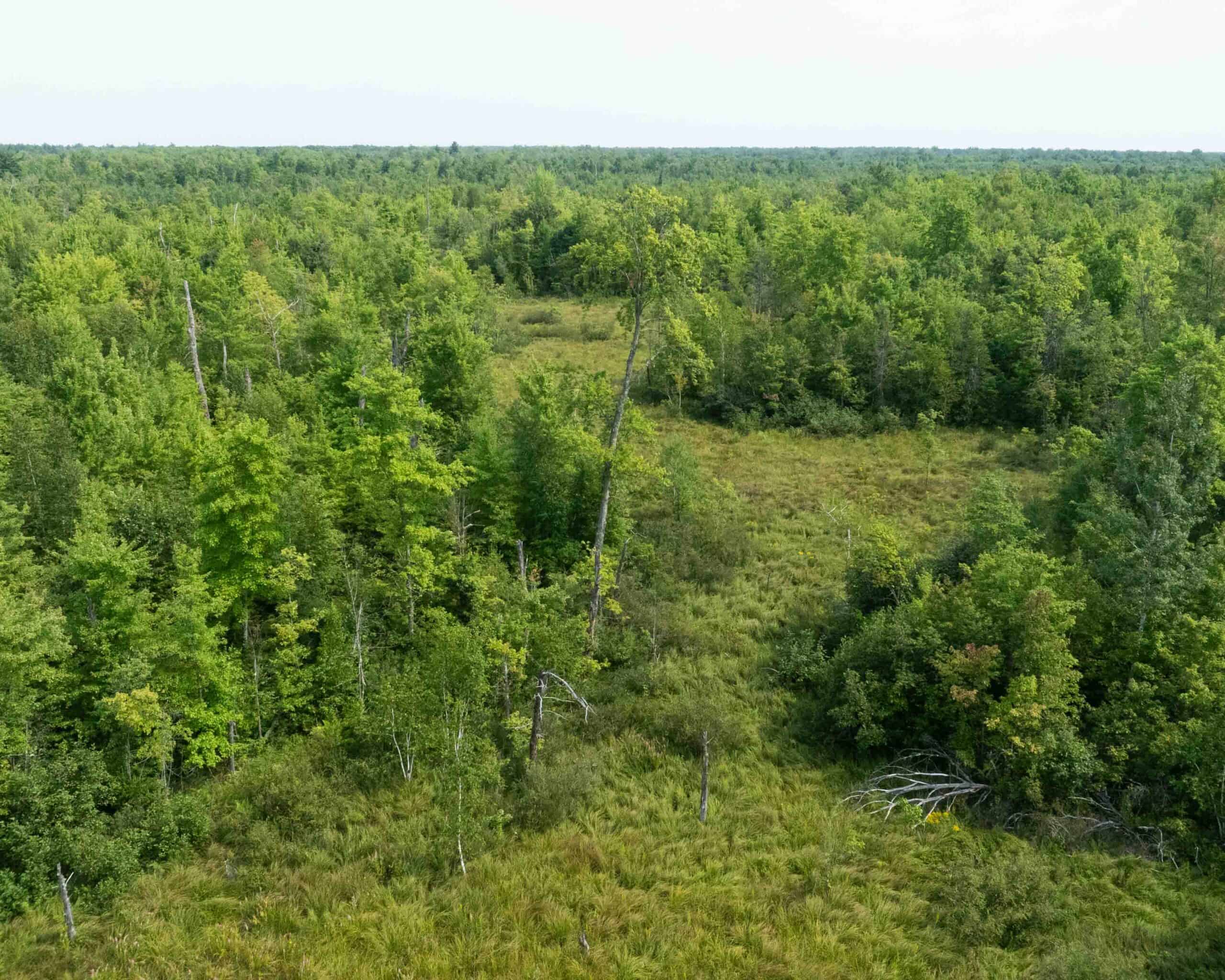 Juneau County WI 80 Acre Camp For Sale