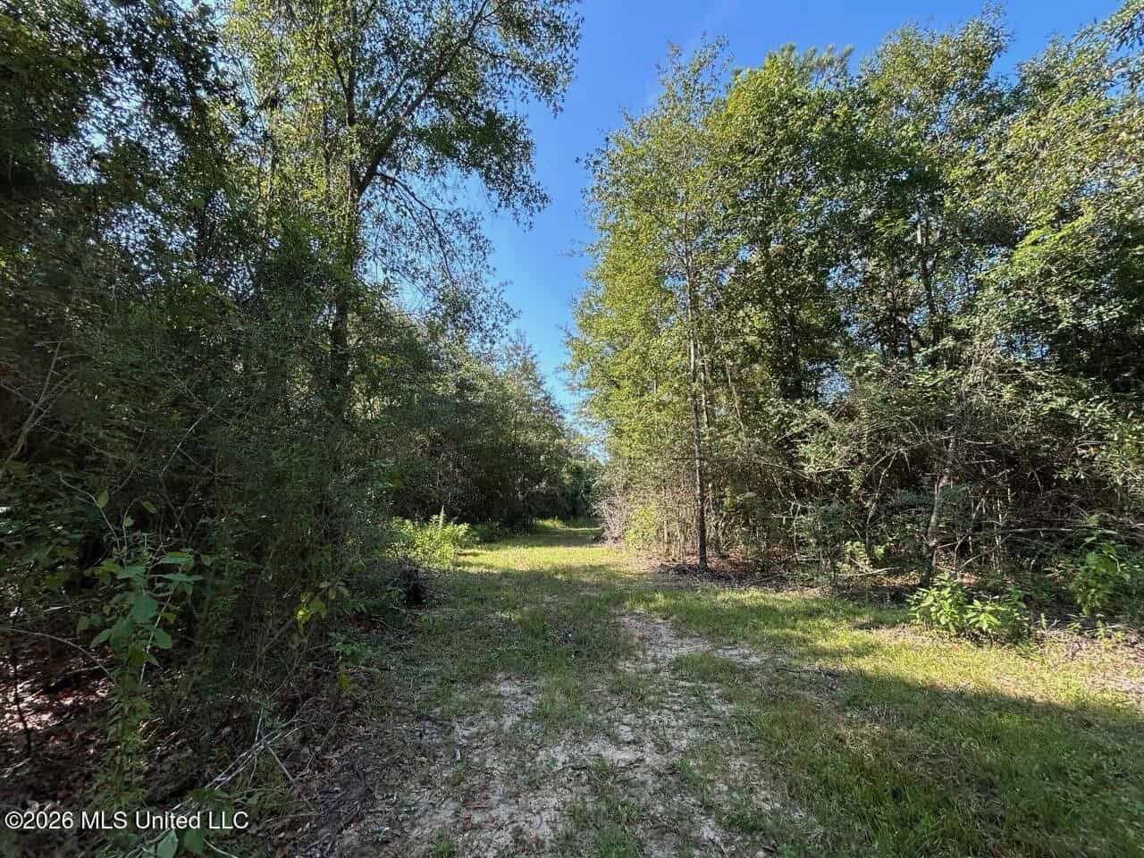 50± Acre Homesite & Hunting Land in Plainview, LA