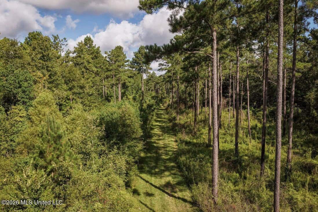 150 Acres for Sale in Magnolia MS on Tangipahoa River