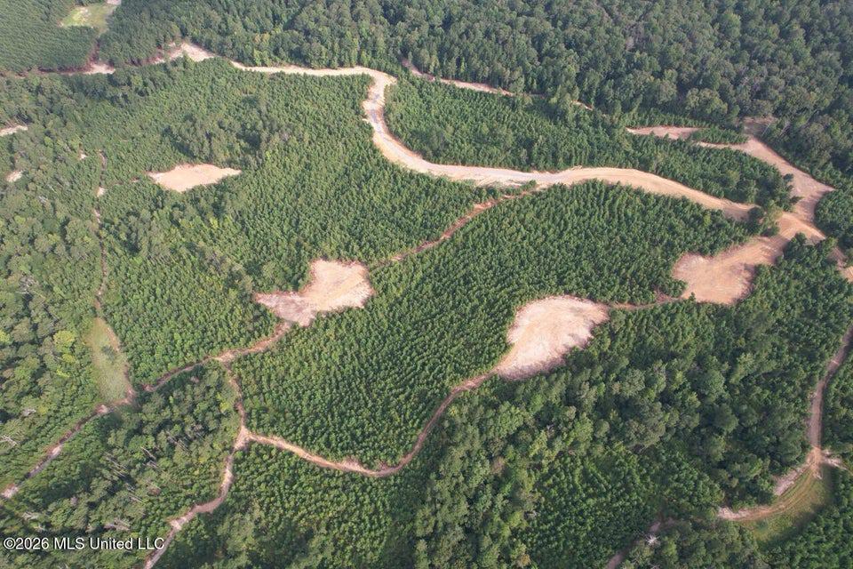 90± Acre Hunting Tract for Sale in Meadville, MS