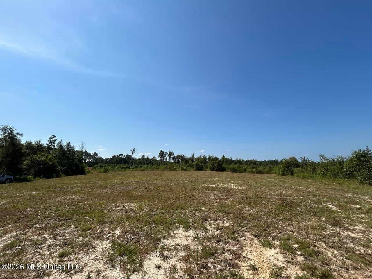 42± Acre Homesite & Hunting Land in Plainview, LA