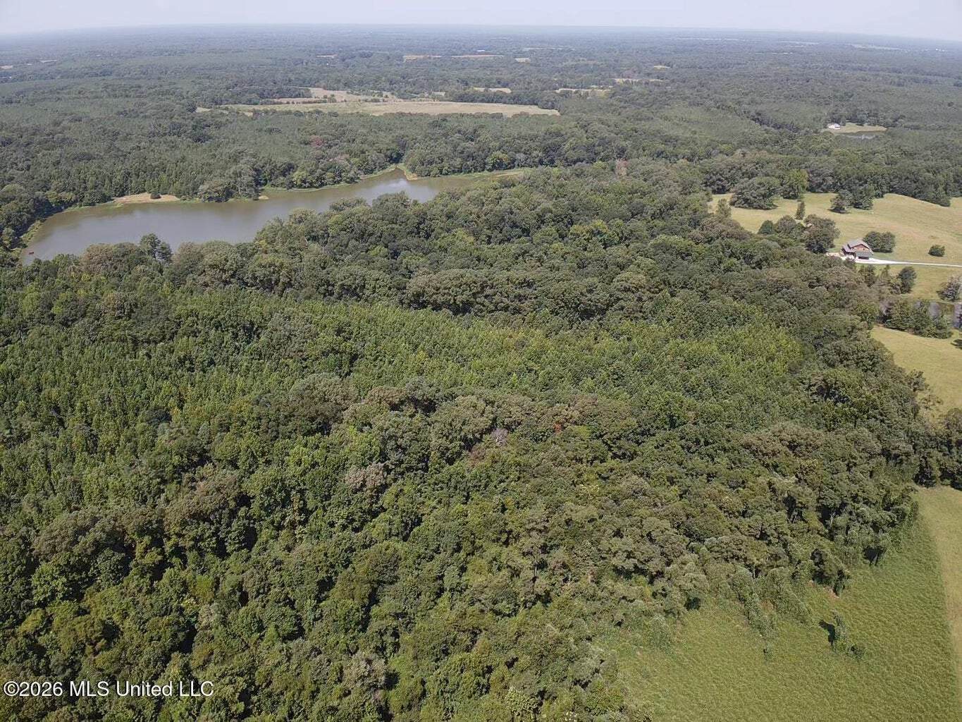 81-Acre Timber Property on 20-Acre Lake in Vaughan, MS