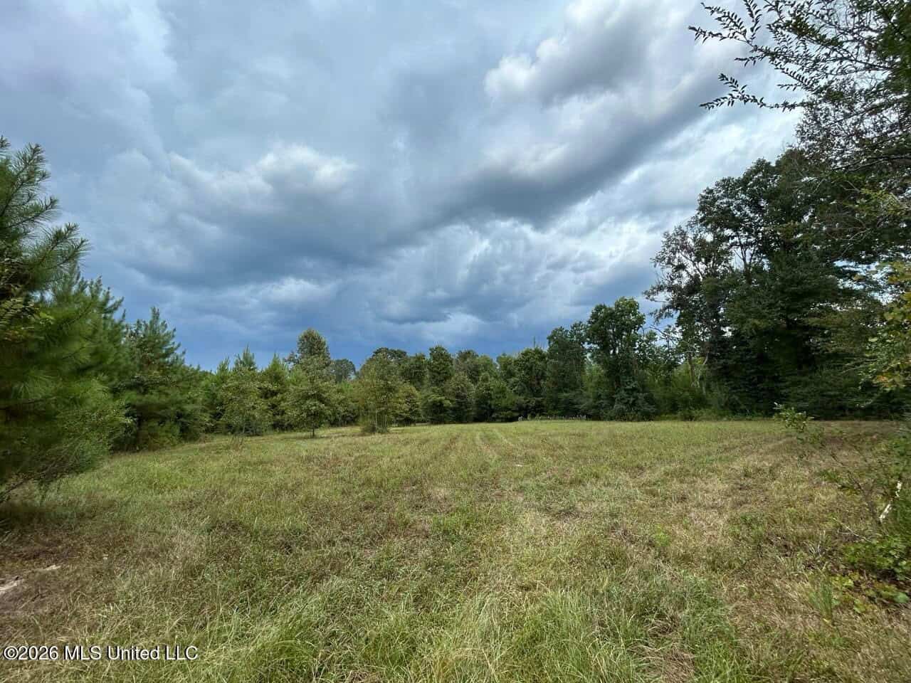 85± Acre Turnkey Hunting Property in Amite County, MS