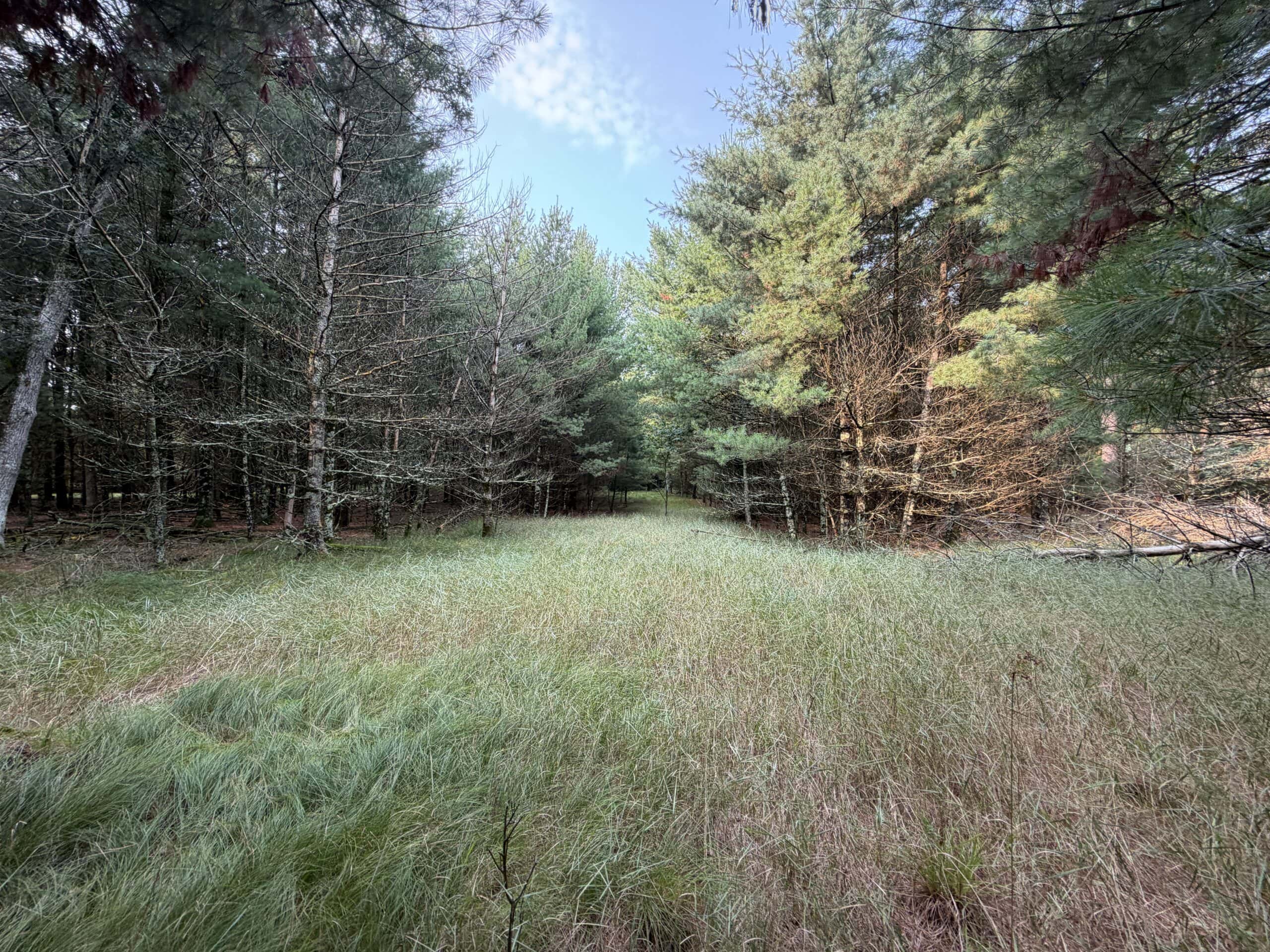 Rare opportunity to own 17.54 wooded acres within the City of Adams