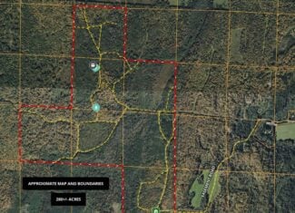 280 ± Acres Near Butternut Lake, WI Recreational Land