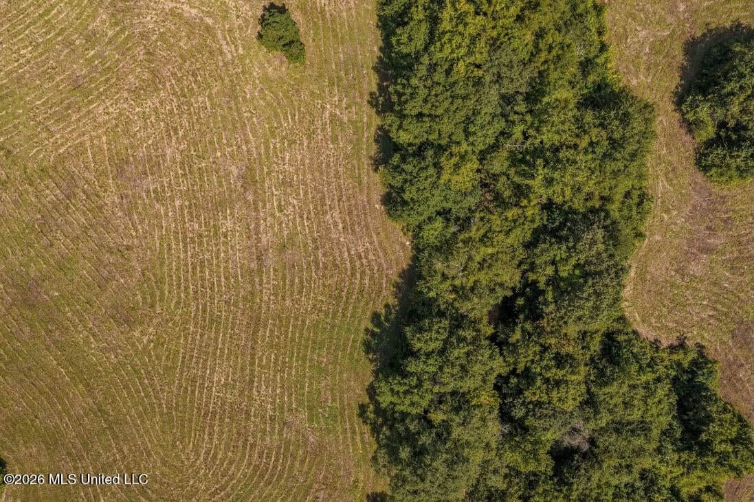 52.25± Acres in Copiah County, MS Near Hazlehurst