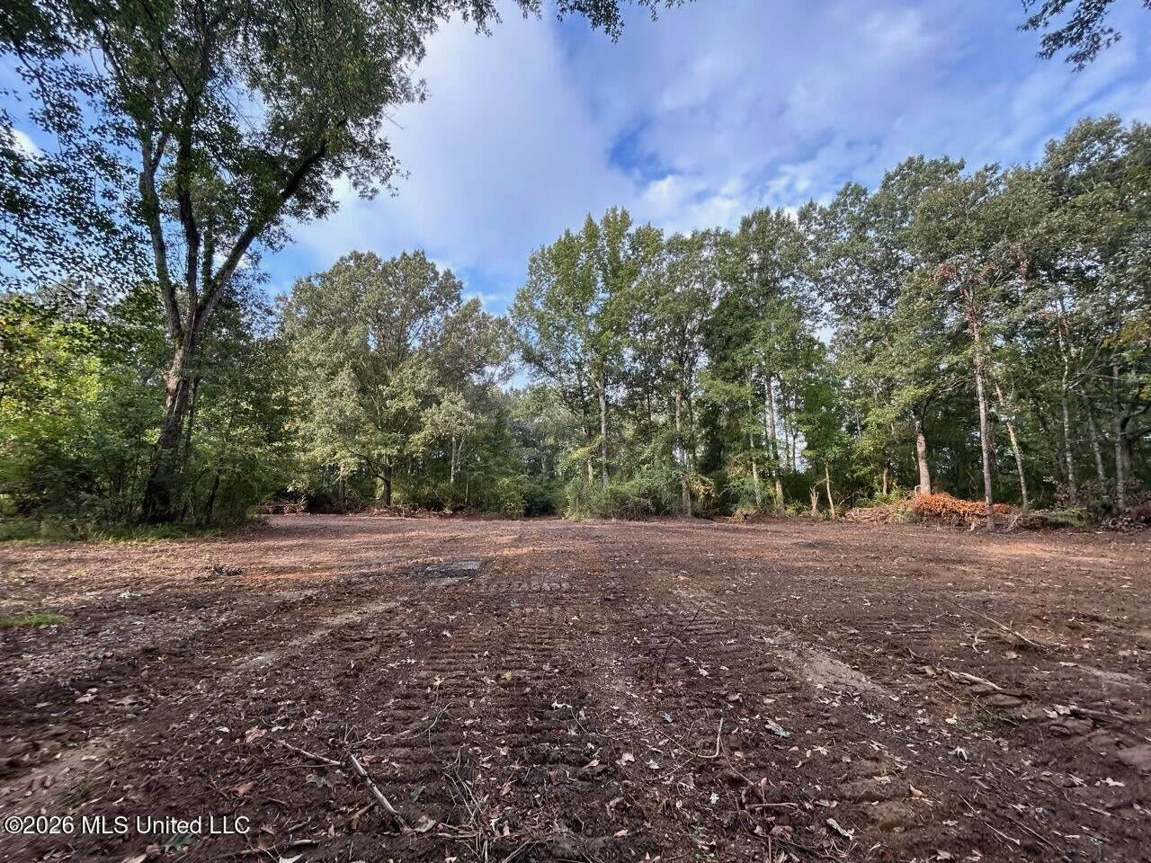82± Acre Hunting Property in Wilkinson County, MS