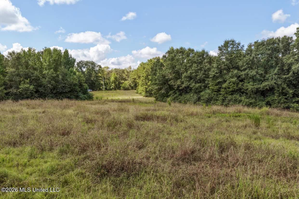 HWY 49 Land for Sale Simpson County, MS
