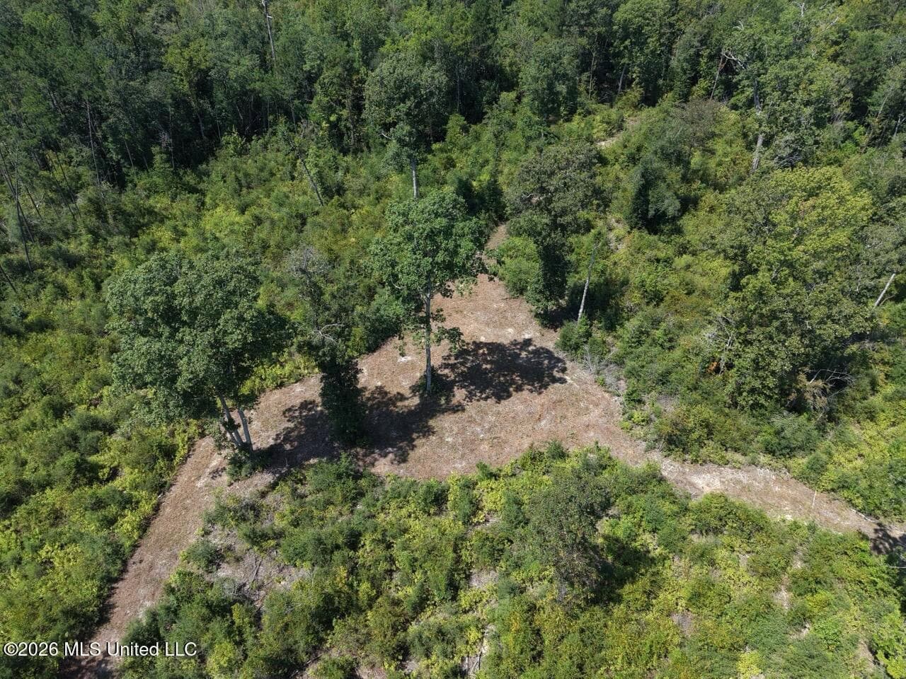147± Acre Hunting Property in Plainview, LA