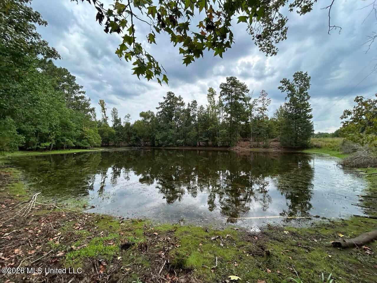 53± Acre Hunting Property Near Centreville, MS