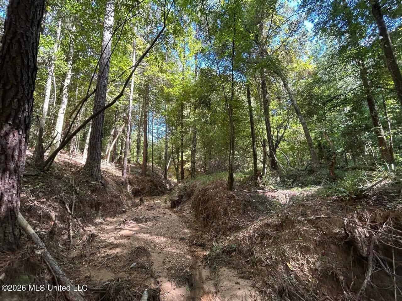 FRANKLIN COUNTY LAND FOR SALE NEAR McCALL CREEK