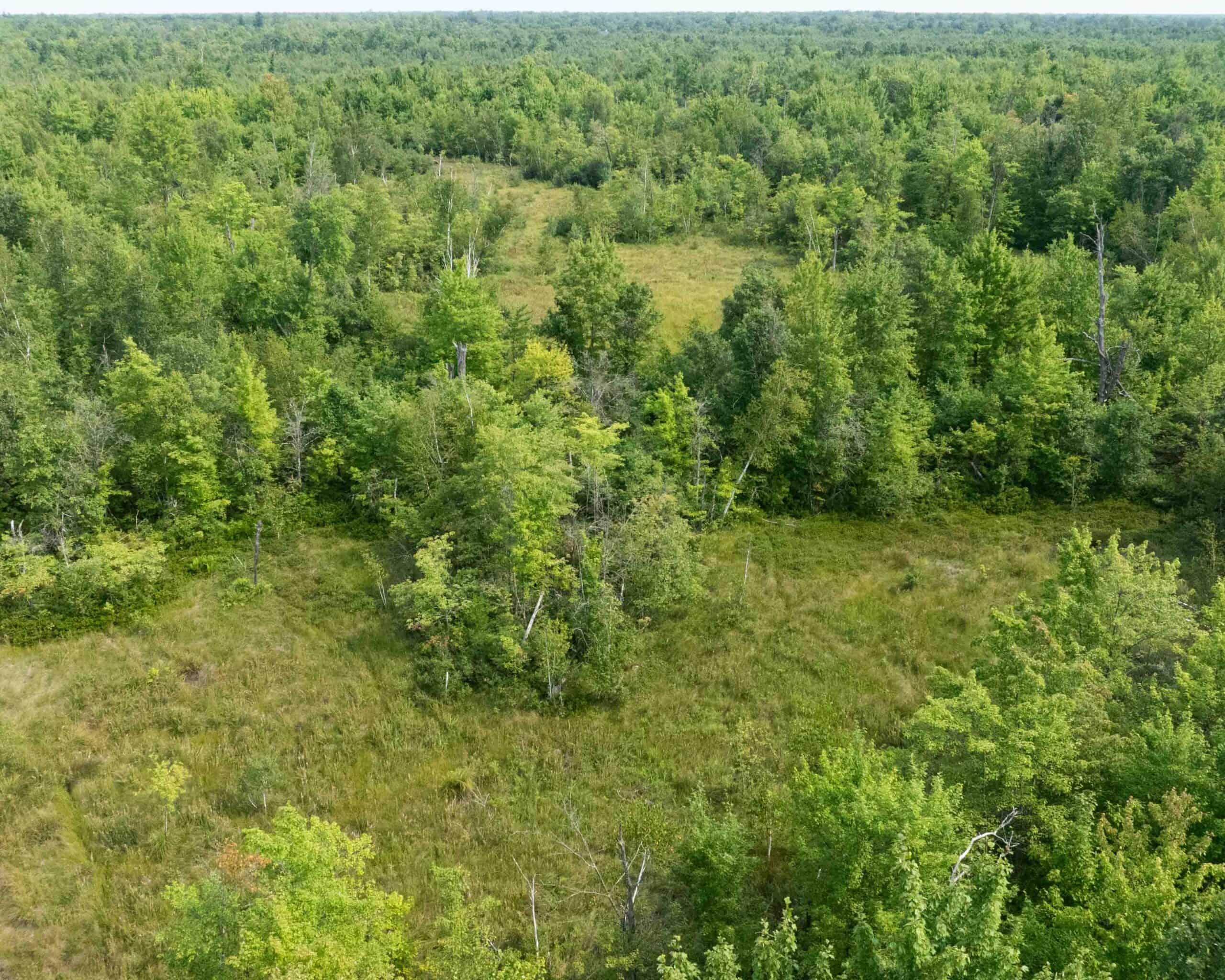 Juneau County WI 80 Acre Camp For Sale