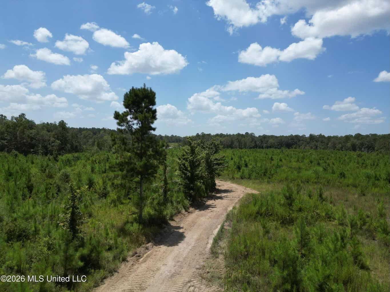 66 Acres Vancleave MS with Pond