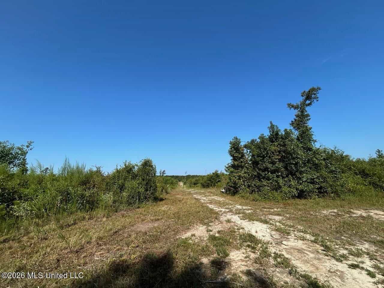 50± Acre Homesite & Hunting Land in Plainview, LA