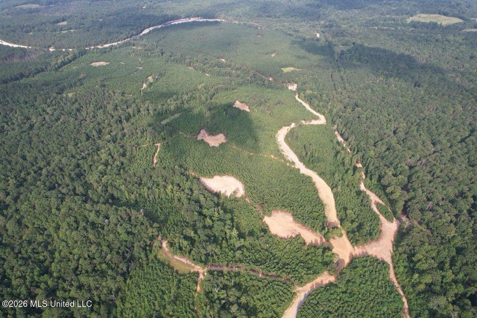 90± Acre Hunting Tract for Sale in Meadville, MS