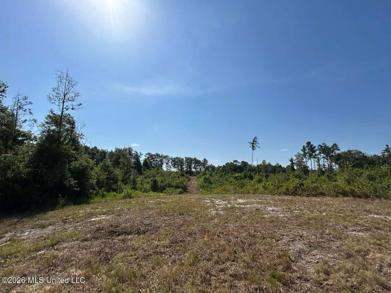 42± Acre Homesite & Hunting Land in Plainview, LA