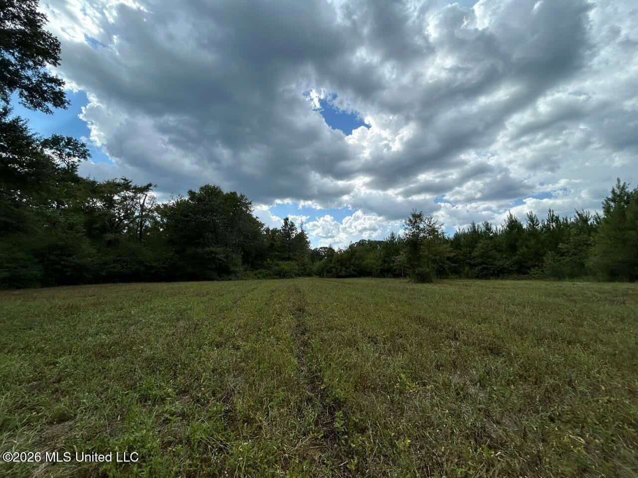 85± Acre Turnkey Hunting Property in Amite County, MS