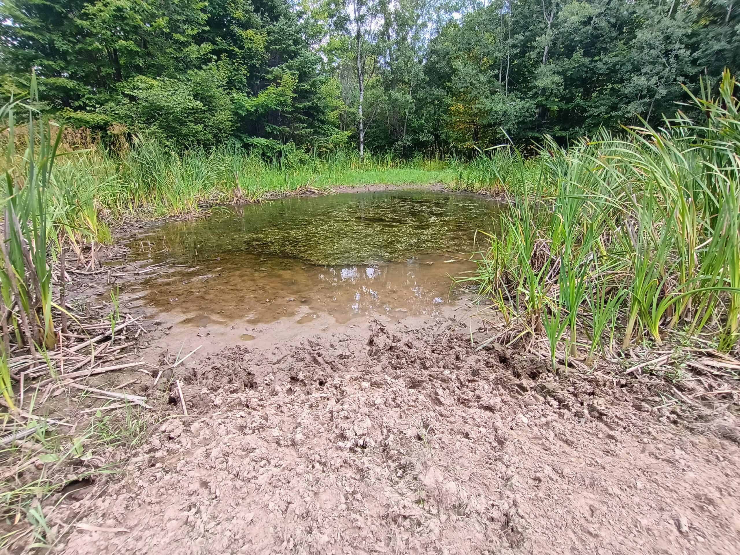 280 ± Acres Near Butternut Lake, WI Recreational Land