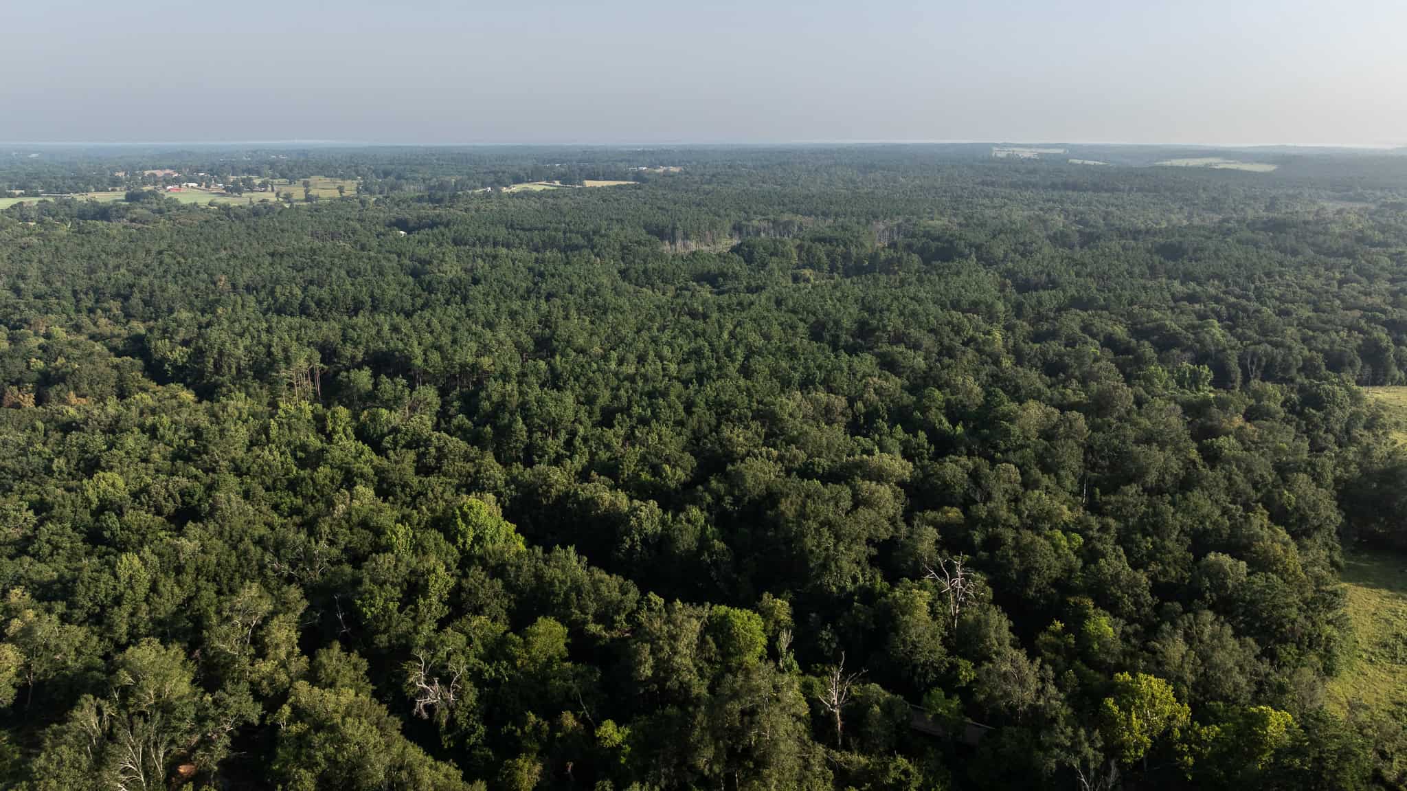 East TX Hunting Land for Sale | 327 Acres | River & Duck Slough | Laneville TX