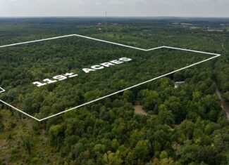 East Texas Hunting & Timber Land for Sale in Smith County