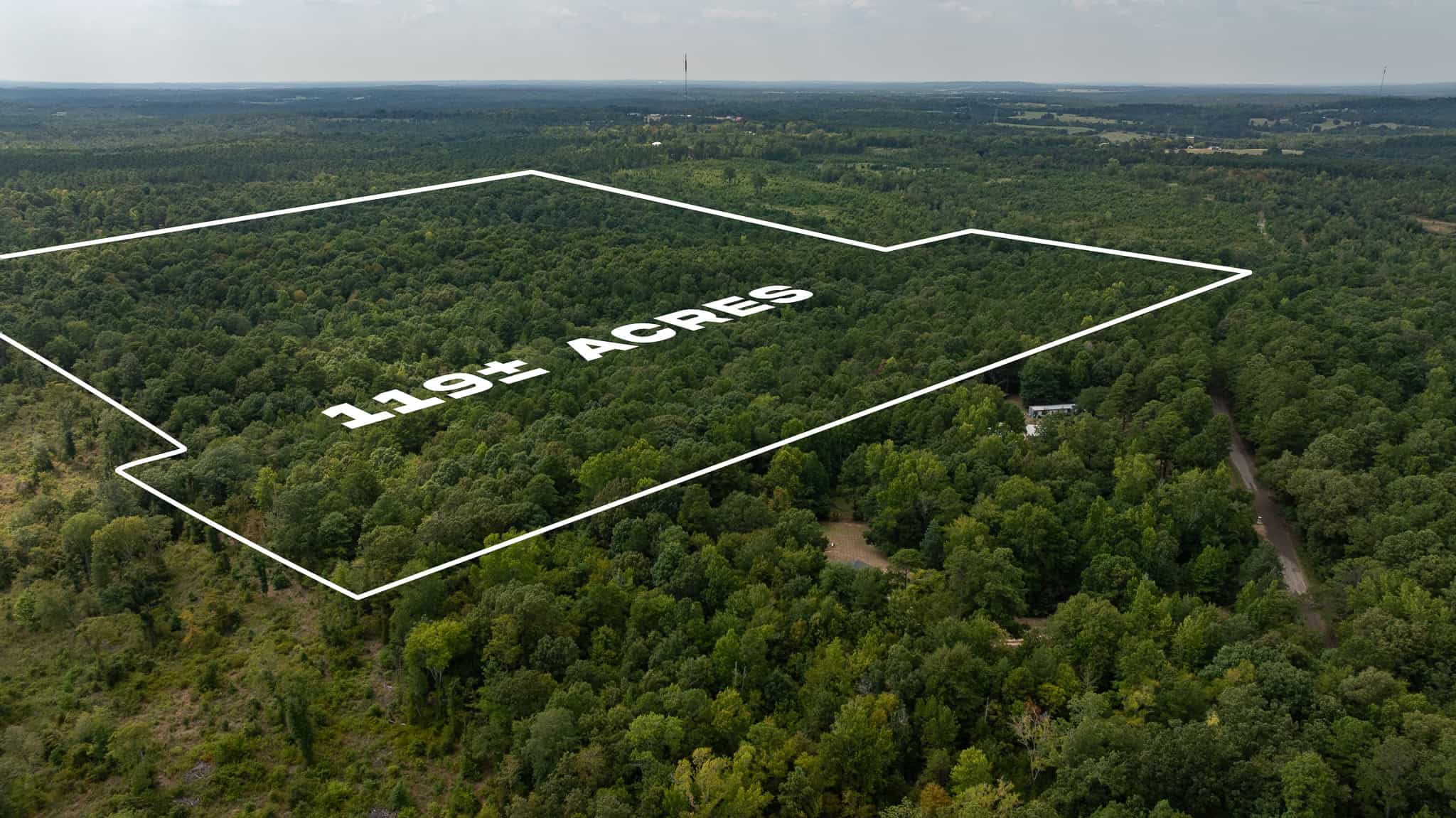 East Texas Hunting & Timber Land for Sale in Smith County