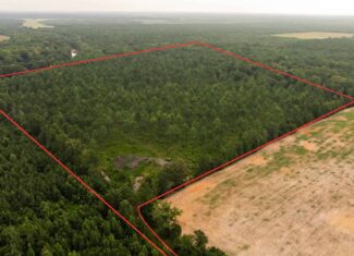 Affordable Morehouse Parish Land for Sale