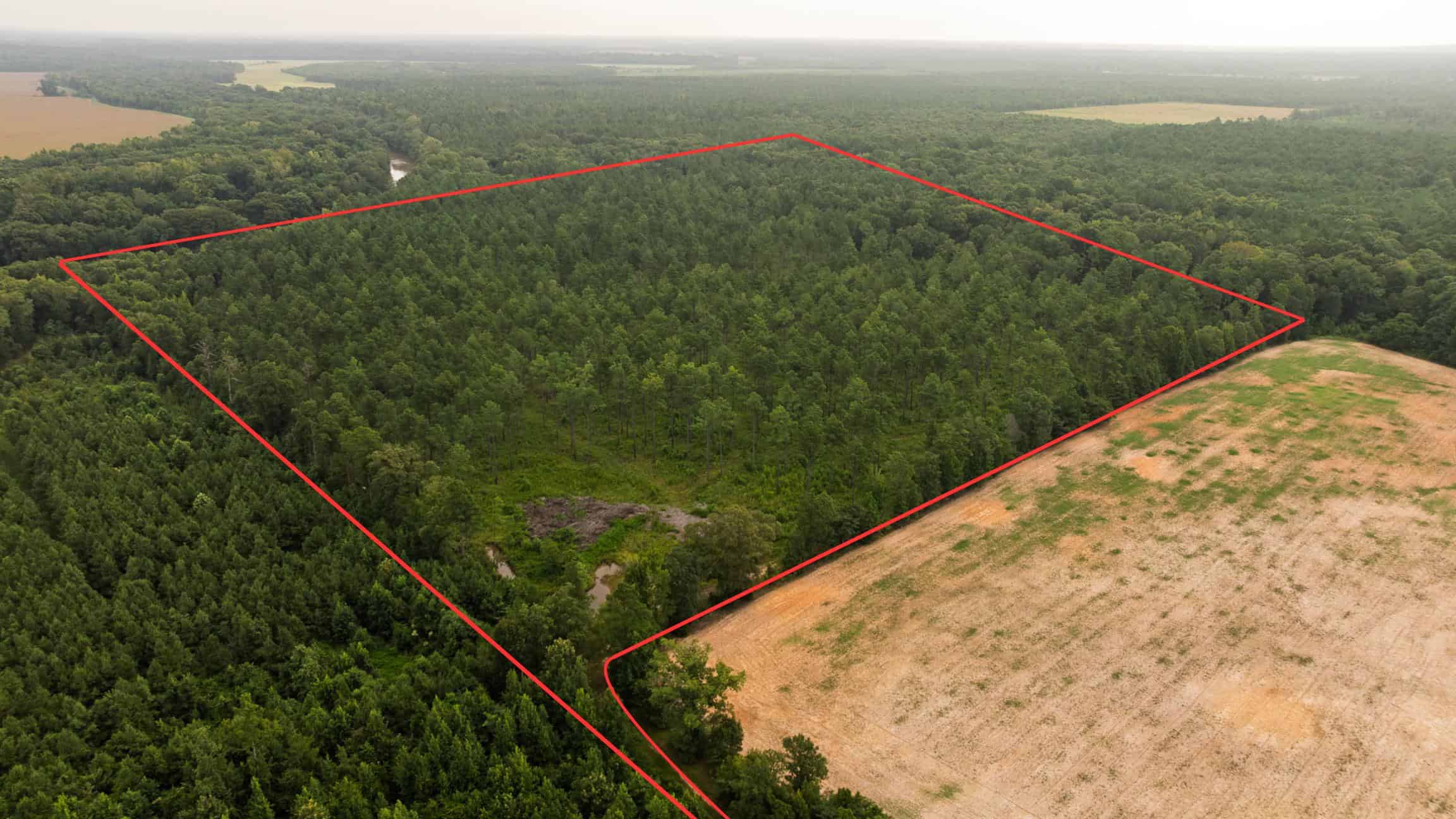 Affordable Morehouse Parish Land for Sale