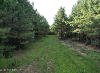 82± Acre Hunting Tract in Meadville, MS