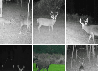 90± Acre Hunting Tract for Sale in Meadville, MS