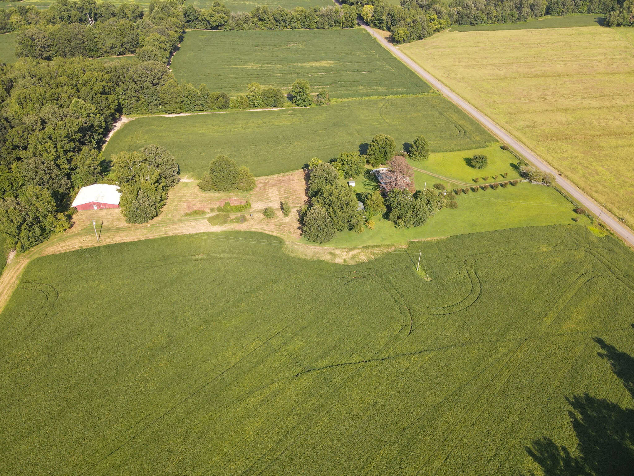 ESTATE FOR SALE IN TN, 56 AC, DEER & TURKEY HUNTING, CREEK, FIELDS, BARN