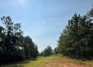 Discover an outstanding 130-acre recreational and hunting property in Stewart Cty